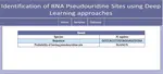 Identification of RNA pseudouridine sites using deep learning approaches